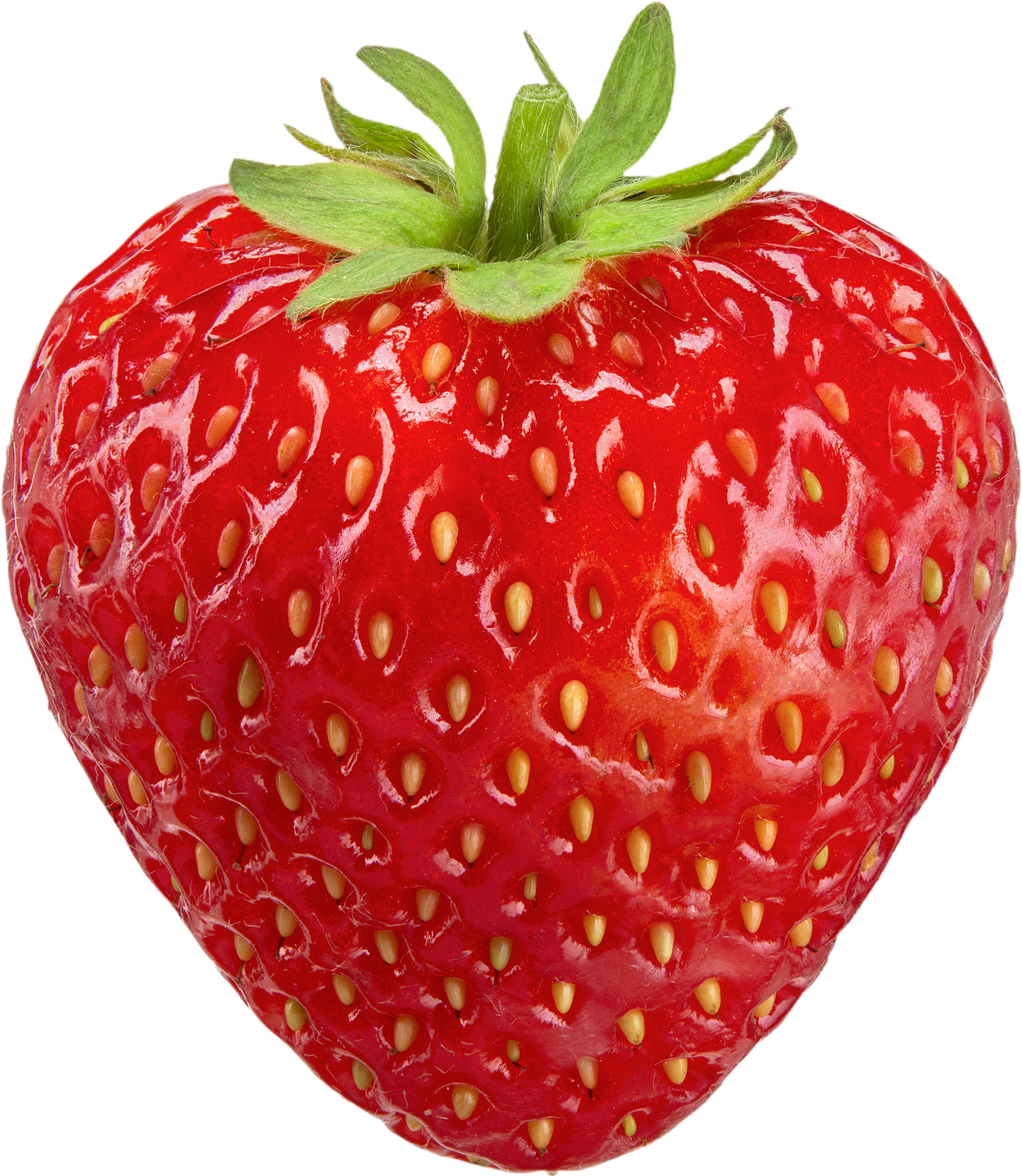Morango